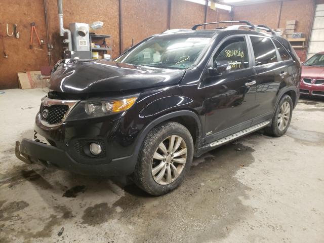 Photo 1 VIN: 5XYKUDA26BG160708 - KIA SORENTO EX 