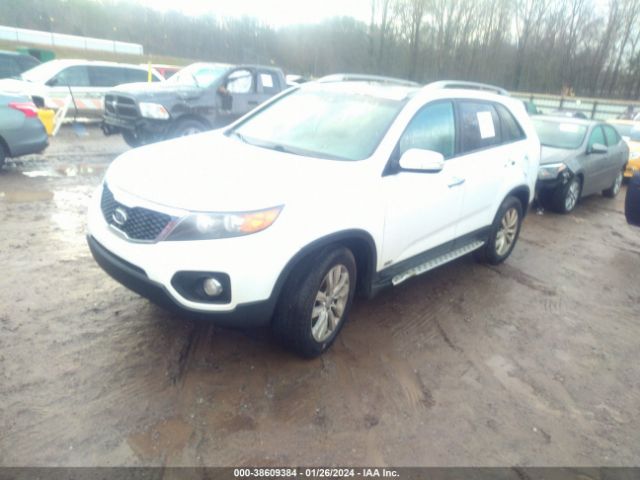 Photo 1 VIN: 5XYKUDA26BG162913 - KIA SORENTO 