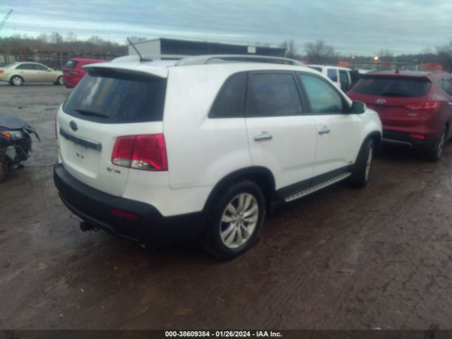 Photo 3 VIN: 5XYKUDA26BG162913 - KIA SORENTO 