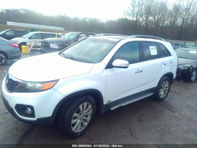 Photo 5 VIN: 5XYKUDA26BG162913 - KIA SORENTO 