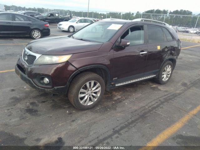 Photo 1 VIN: 5XYKUDA26BG172230 - KIA SORENTO 