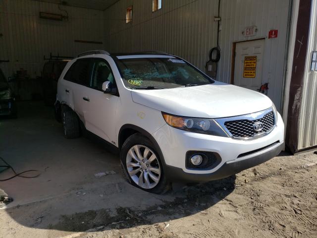 Photo 0 VIN: 5XYKUDA28BG013385 - KIA SORENTO EX 