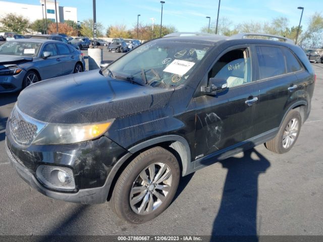 Photo 1 VIN: 5XYKUDA28BG058147 - KIA SORENTO 