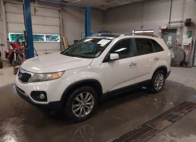 Photo 1 VIN: 5XYKUDA28BG131436 - KIA SORENTO 