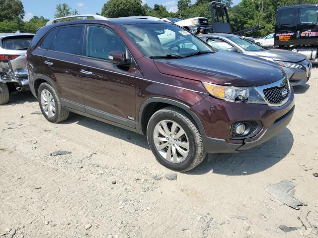 Photo 3 VIN: 5XYKUDA29BG001293 - KIA SORENTO EX 