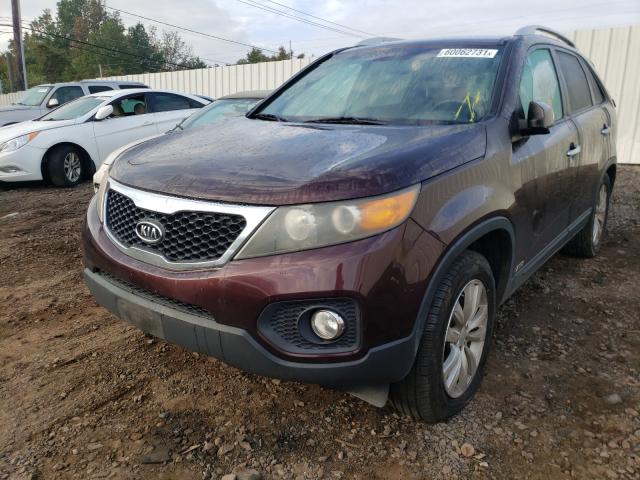 Photo 1 VIN: 5XYKUDA29BG046847 - KIA SORENTO EX 