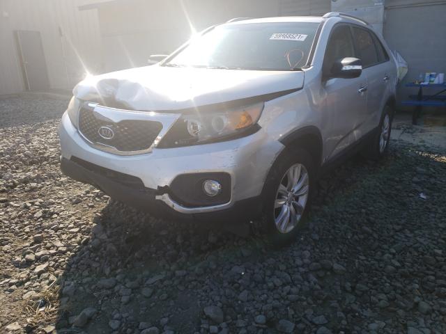 Photo 1 VIN: 5XYKUDA29BG052177 - KIA SORENTO EX 