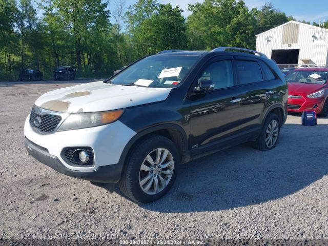 Photo 1 VIN: 5XYKUDA29BG147547 - KIA SORENTO 