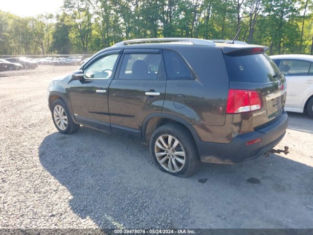 Photo 2 VIN: 5XYKUDA29BG147547 - KIA SORENTO 