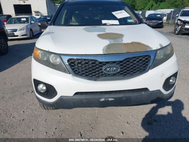 Photo 5 VIN: 5XYKUDA29BG147547 - KIA SORENTO 