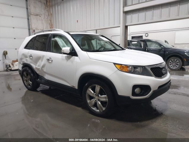 Photo 0 VIN: 5XYKUDA29DG387975 - KIA SORENTO 