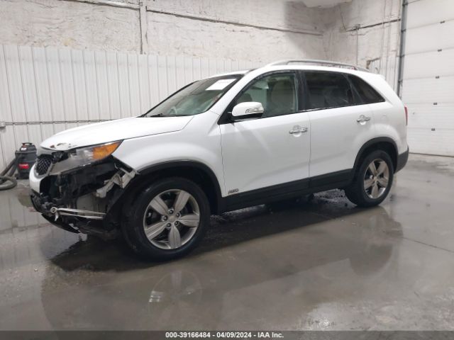 Photo 1 VIN: 5XYKUDA29DG387975 - KIA SORENTO 