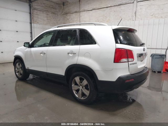 Photo 2 VIN: 5XYKUDA29DG387975 - KIA SORENTO 