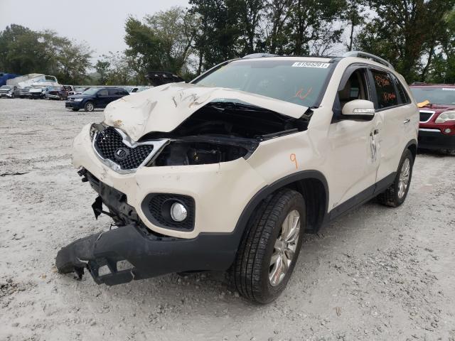 Photo 1 VIN: 5XYKUDA2XBG038336 - KIA SORENTO EX 