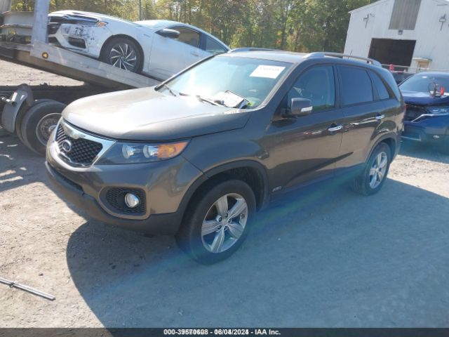 Photo 1 VIN: 5XYKUDA68DG407216 - KIA SORENTO 