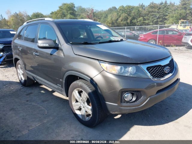 Photo 5 VIN: 5XYKUDA68DG407216 - KIA SORENTO 