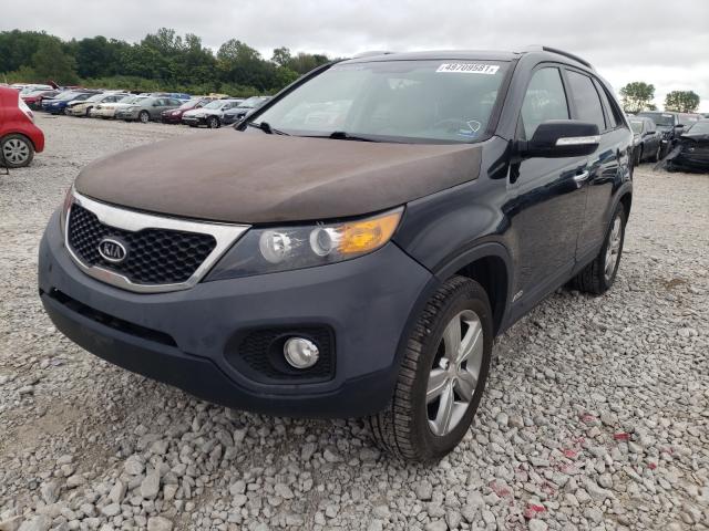 Photo 1 VIN: 5XYKUDA6XDG355197 - KIA SORENTO EX 