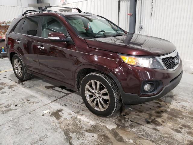 Photo 0 VIN: 5XYKW4A20DG360528 - KIA SORENTO SX 