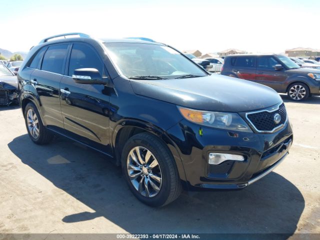 Photo 0 VIN: 5XYKW4A24DG391748 - KIA SORENTO 