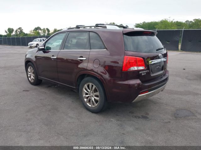 Photo 2 VIN: 5XYKW4A28BG173552 - KIA SORENTO 