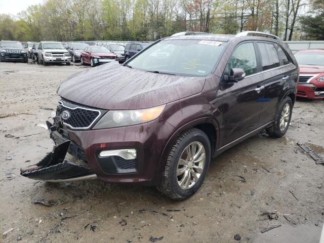 Photo 1 VIN: 5XYKW4A2XBG104605 - KIA SORENTO SX 