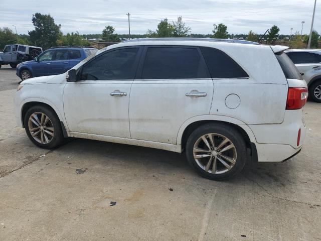 Photo 1 VIN: 5XYKW4A78EG437501 - KIA SORENTO SX 