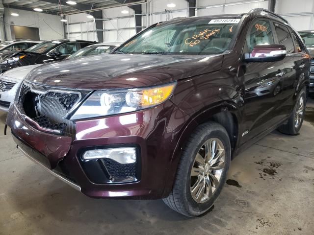 Photo 1 VIN: 5XYKWDA20BG117704 - KIA SORENTO 