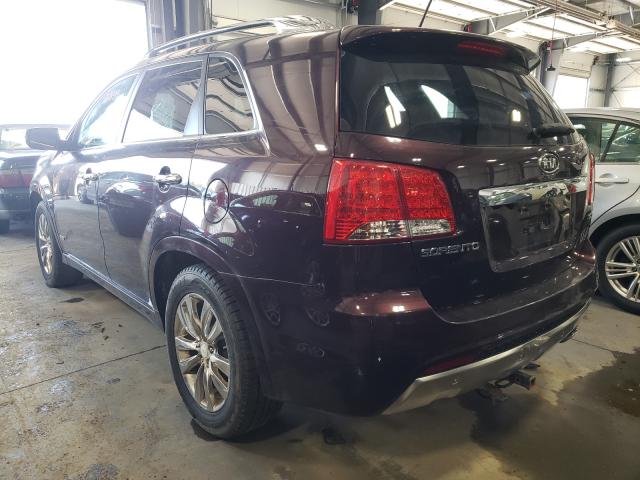 Photo 2 VIN: 5XYKWDA20BG117704 - KIA SORENTO 