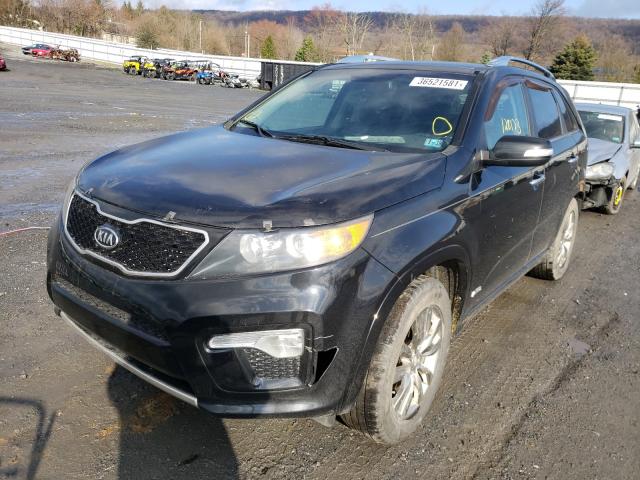 Photo 1 VIN: 5XYKWDA20BG136303 - KIA SORENTO SX 