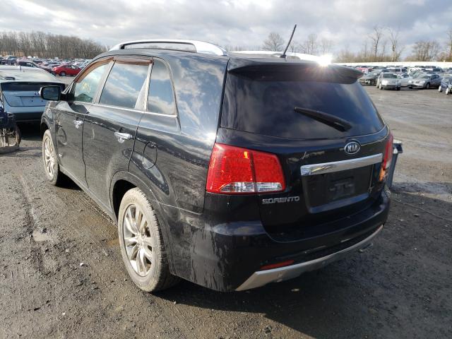 Photo 2 VIN: 5XYKWDA20BG136303 - KIA SORENTO SX 