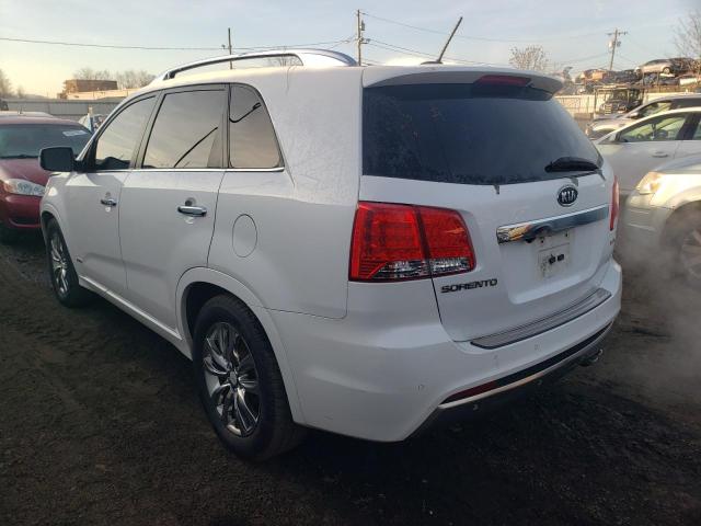 Photo 1 VIN: 5XYKWDA20DG313838 - KIA SORENTO 