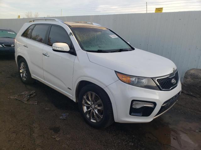 Photo 3 VIN: 5XYKWDA20DG313838 - KIA SORENTO 