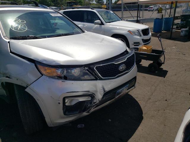 Photo 8 VIN: 5XYKWDA20DG336617 - KIA SORENTO SX 