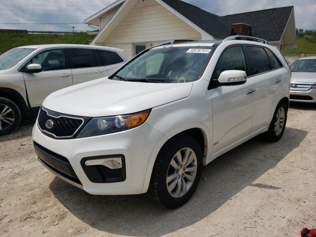 Photo 1 VIN: 5XYKWDA20DG362991 - KIA SORENTO SX 