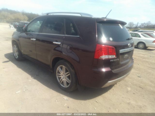 Photo 2 VIN: 5XYKWDA21BG100605 - KIA SORENTO 