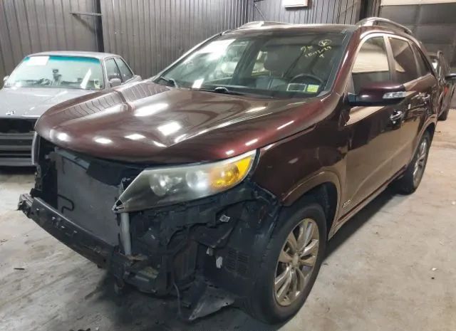 Photo 1 VIN: 5XYKWDA21BG128338 - KIA SORENTO 