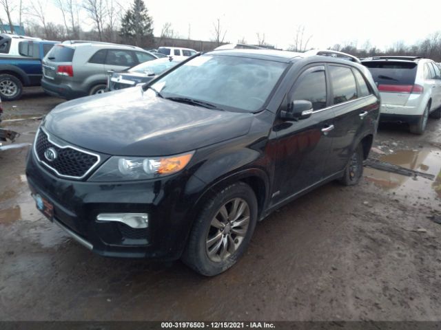 Photo 1 VIN: 5XYKWDA21CG248321 - KIA SORENTO 