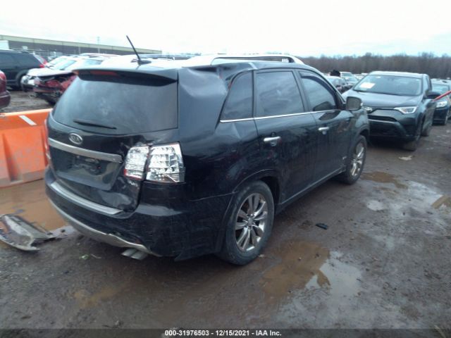 Photo 3 VIN: 5XYKWDA21CG248321 - KIA SORENTO 