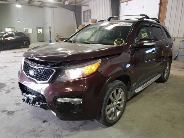 Photo 1 VIN: 5XYKWDA21DG367178 - KIA SORENTO SX 