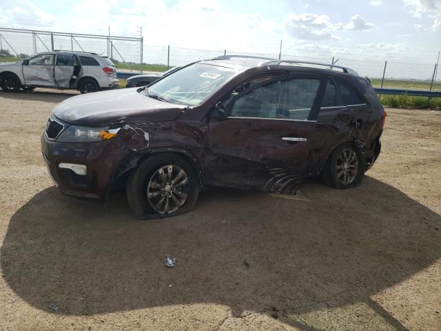 Photo 8 VIN: 5XYKWDA21DG393148 - KIA SORENTO SX 