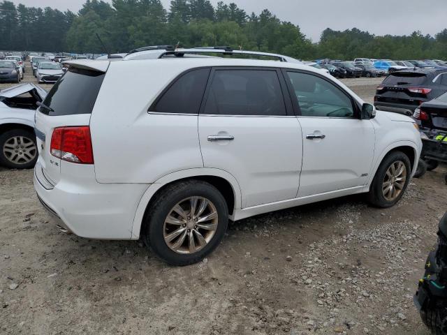 Photo 2 VIN: 5XYKWDA21DG397460 - KIA SORENTO SX 