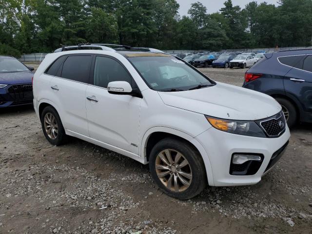 Photo 3 VIN: 5XYKWDA21DG397460 - KIA SORENTO SX 