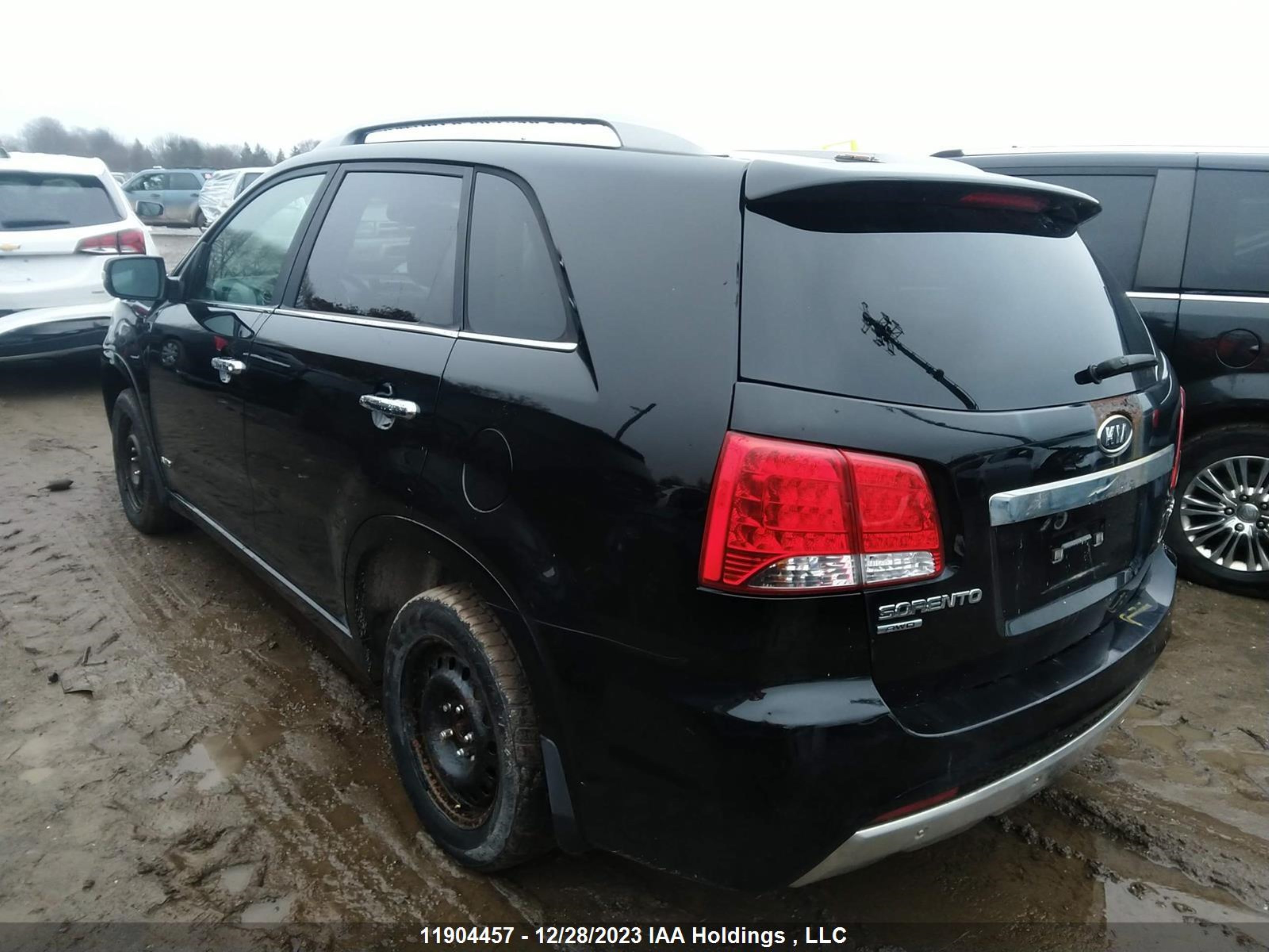 Photo 2 VIN: 5XYKWDA22BG092045 - KIA SORENTO 