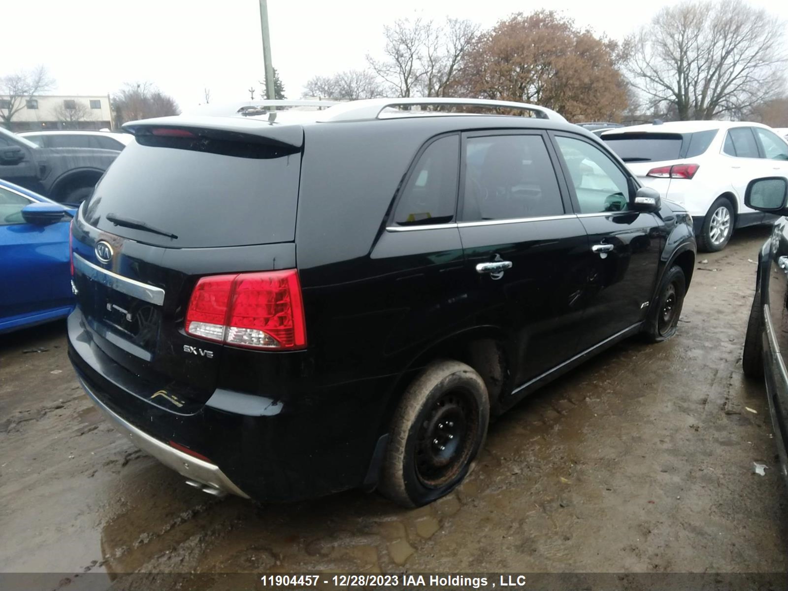 Photo 3 VIN: 5XYKWDA22BG092045 - KIA SORENTO 