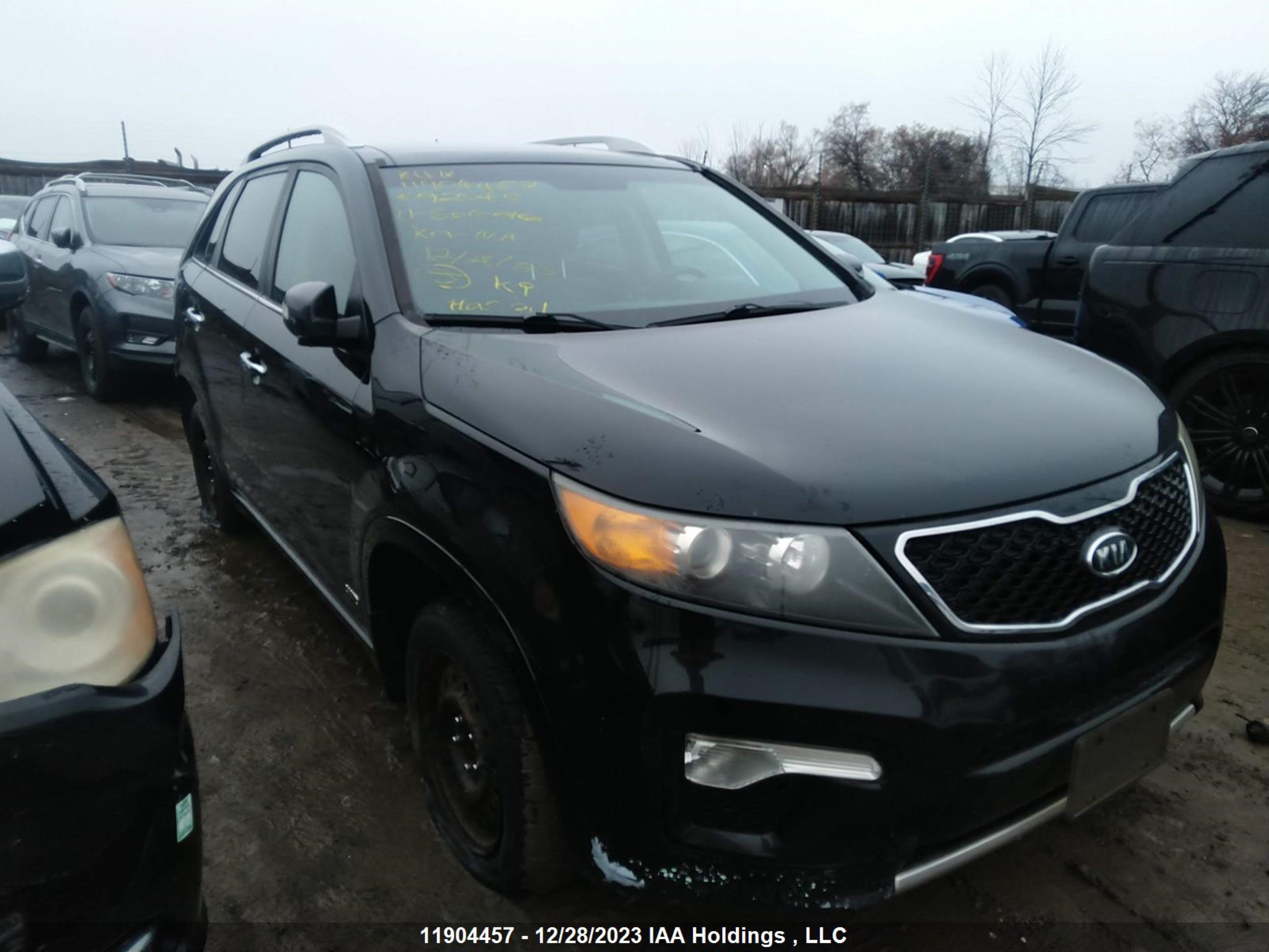 Photo 5 VIN: 5XYKWDA22BG092045 - KIA SORENTO 