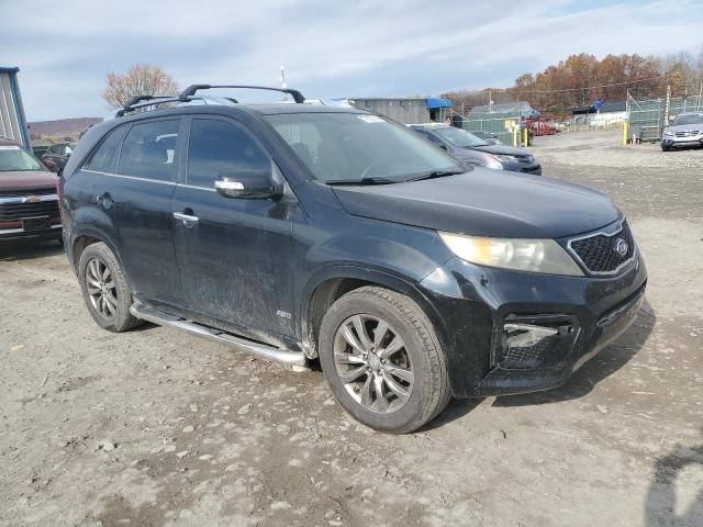 Photo 3 VIN: 5XYKWDA22BG119261 - KIA SORENTO SX 