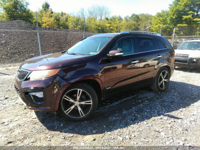 Photo 1 VIN: 5XYKWDA22BG119602 - KIA SORENTO 