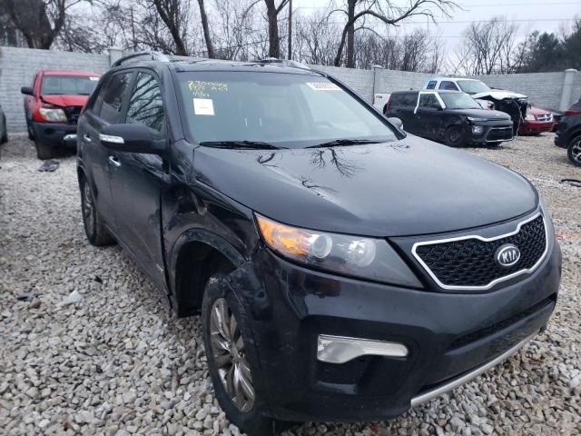 Photo 3 VIN: 5XYKWDA22BG160988 - KIA SORENTO SX 