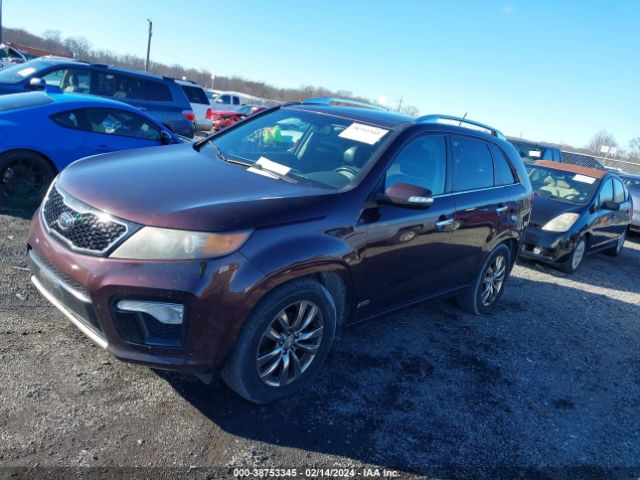 Photo 1 VIN: 5XYKWDA22BG162661 - KIA SORENTO 