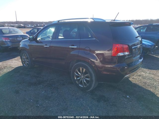 Photo 2 VIN: 5XYKWDA22BG162661 - KIA SORENTO 